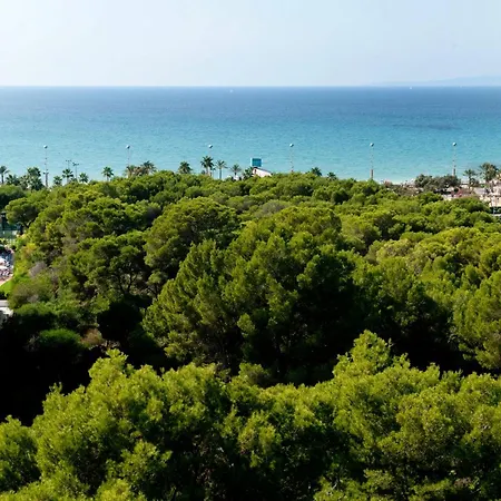 グルーポテル トーラス パーク